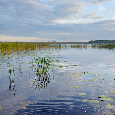 Domzheritskoye Lake
